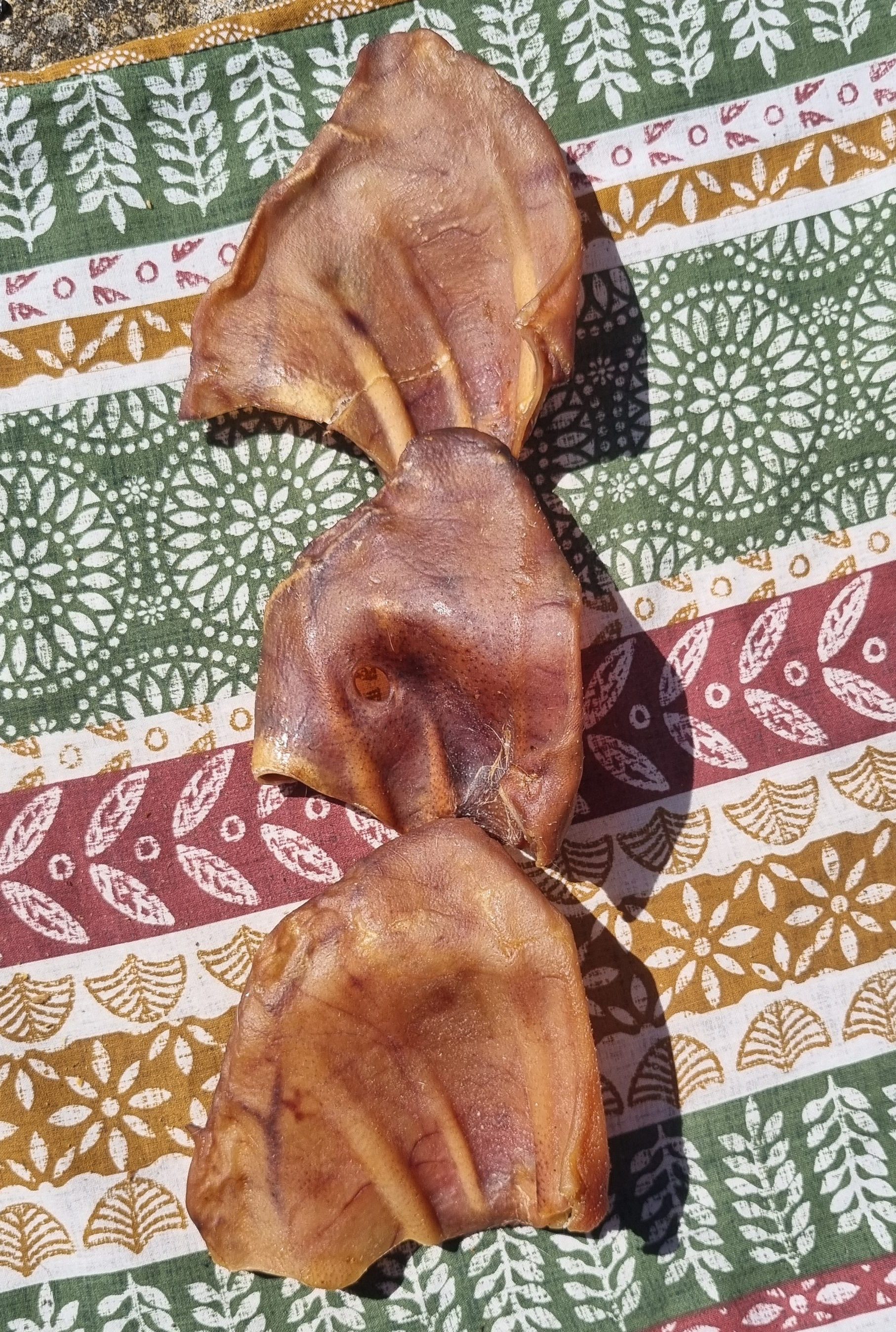 Pig Ear