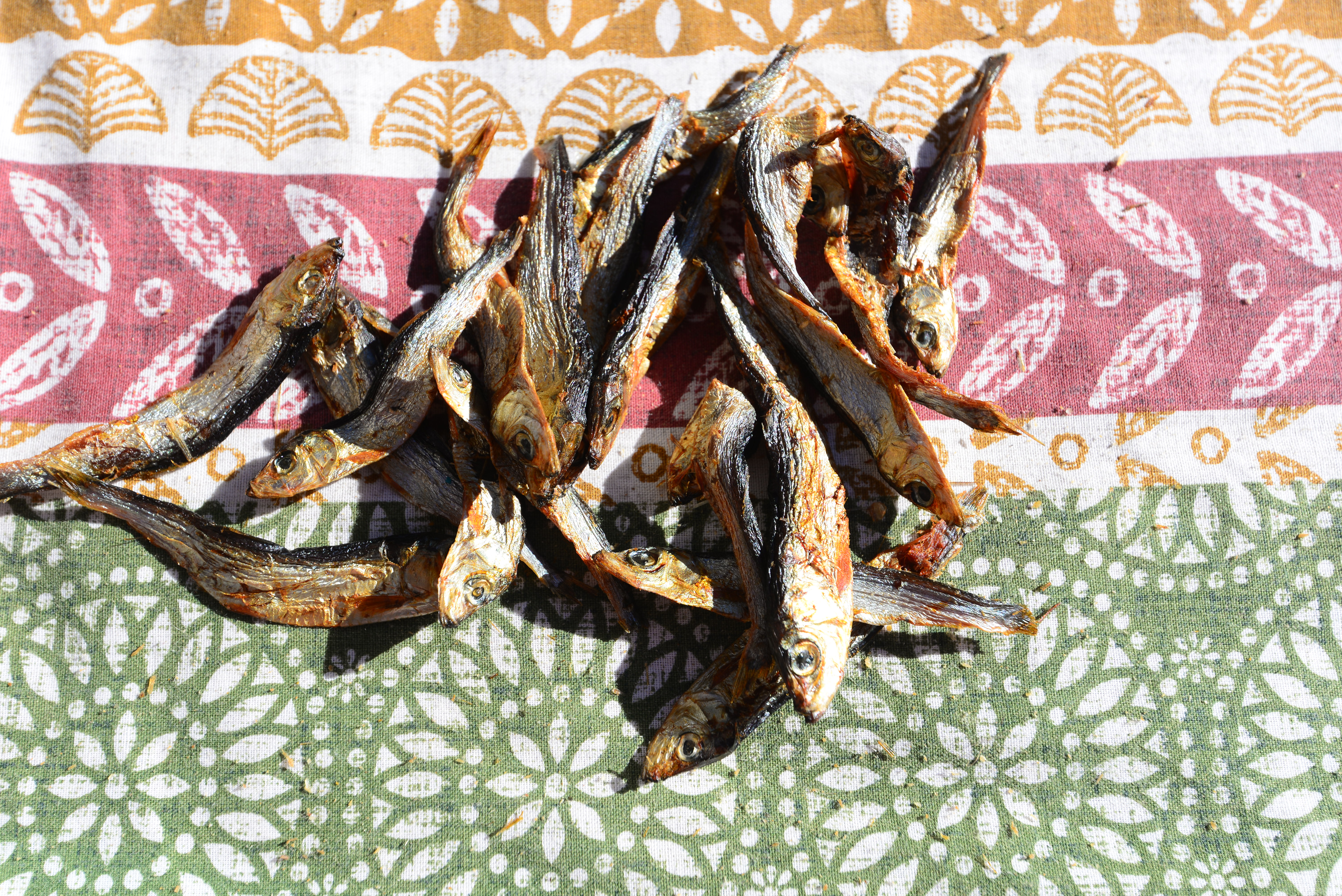Baltic Sprats