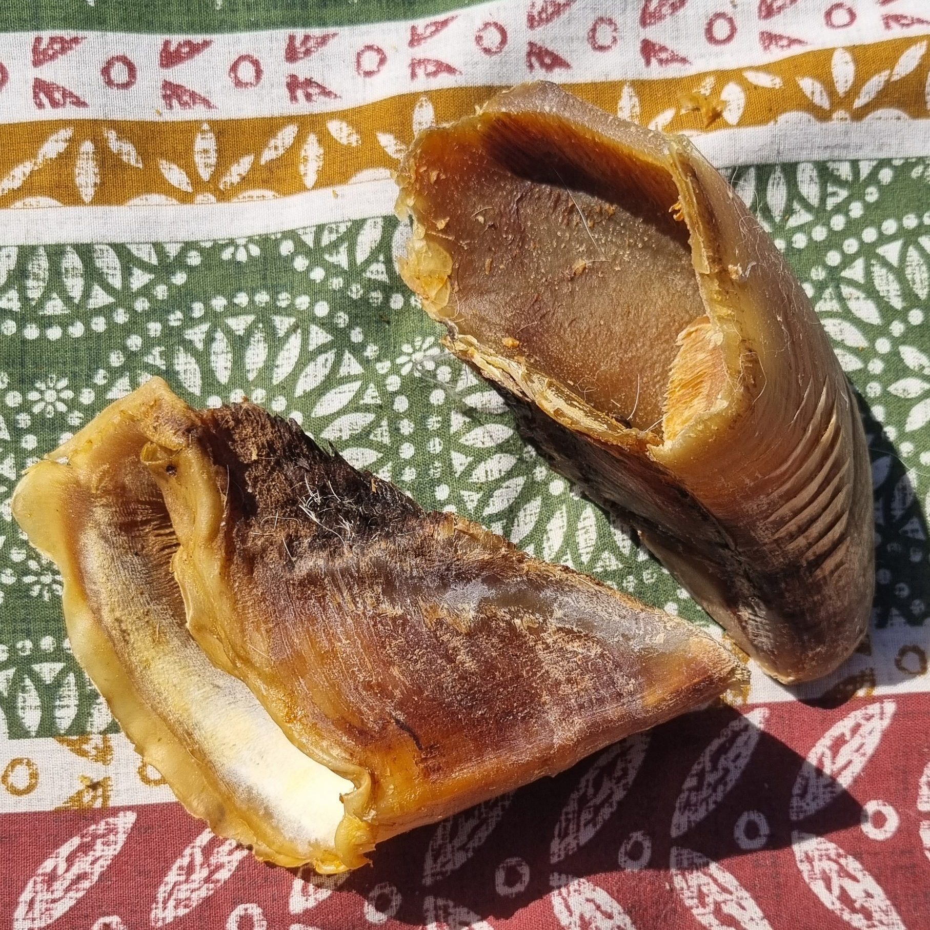 Cow Hooves