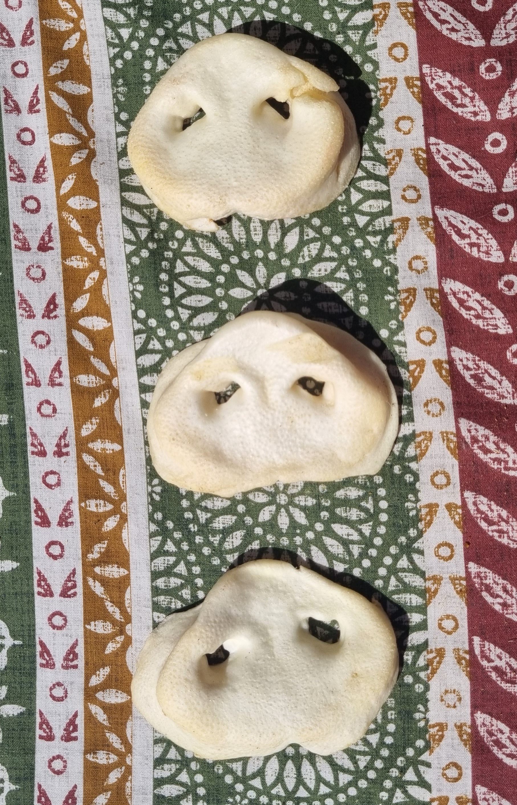 Puffed Pig Snouts