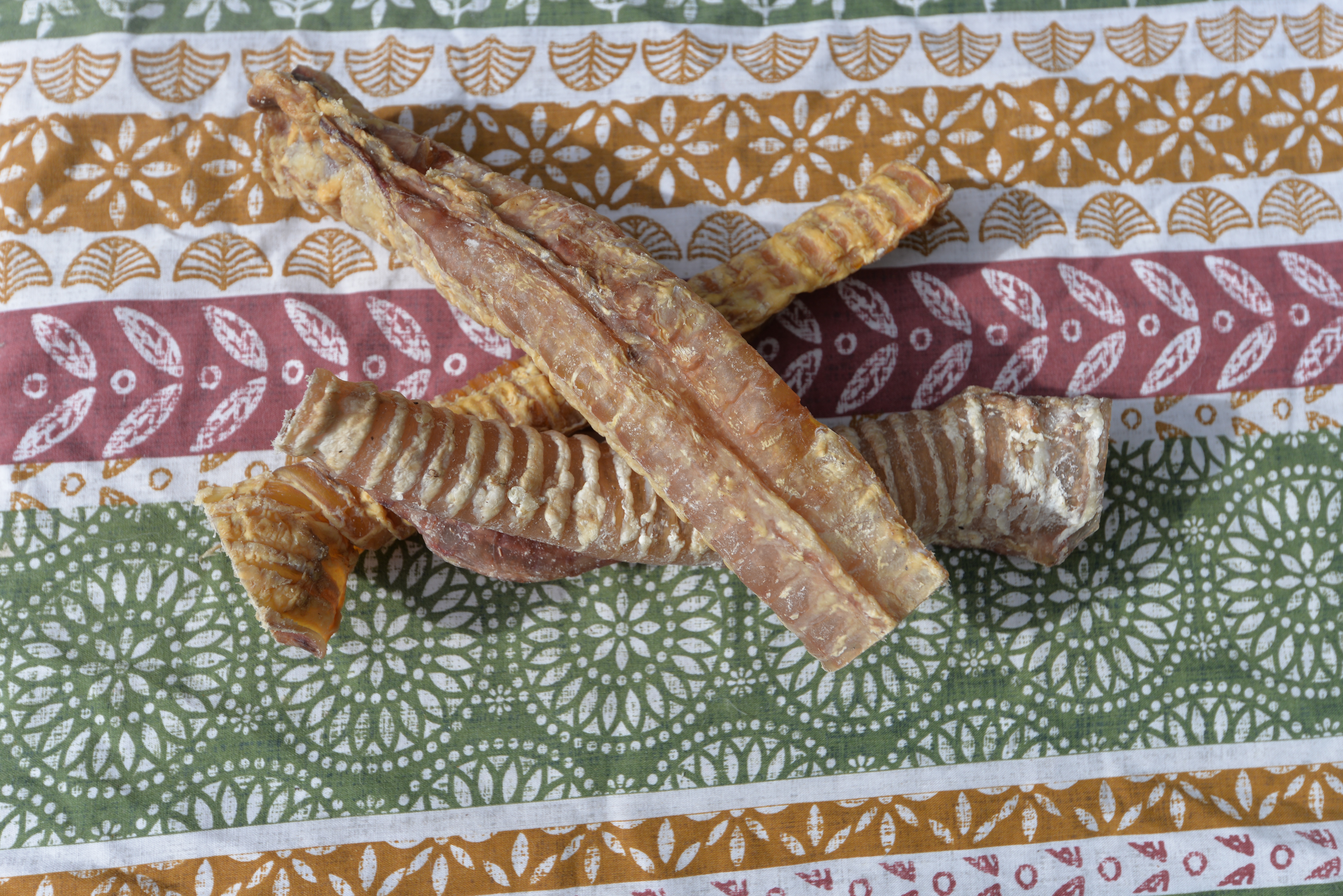 Beef Trachea 20cm