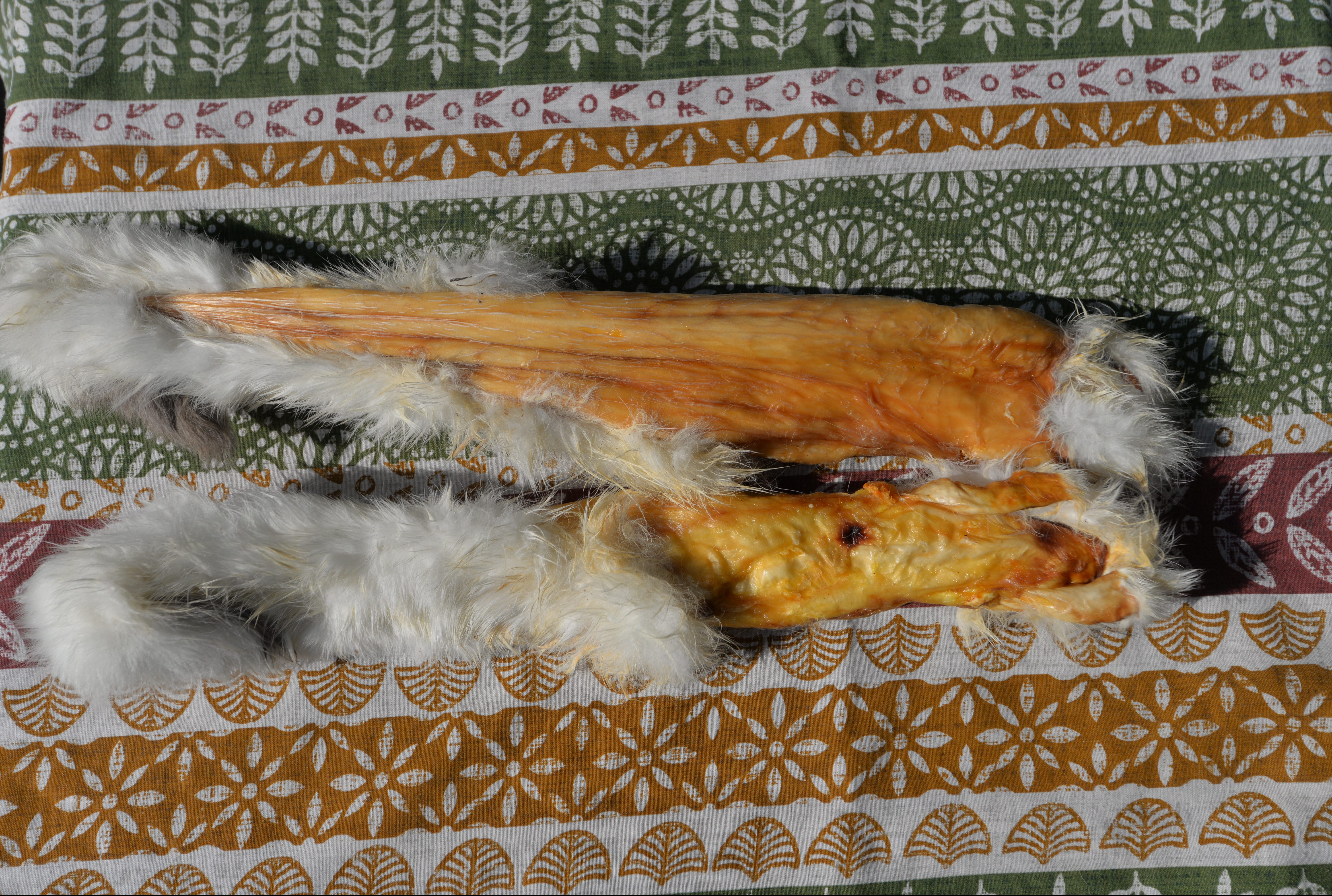 Rabbit Skin