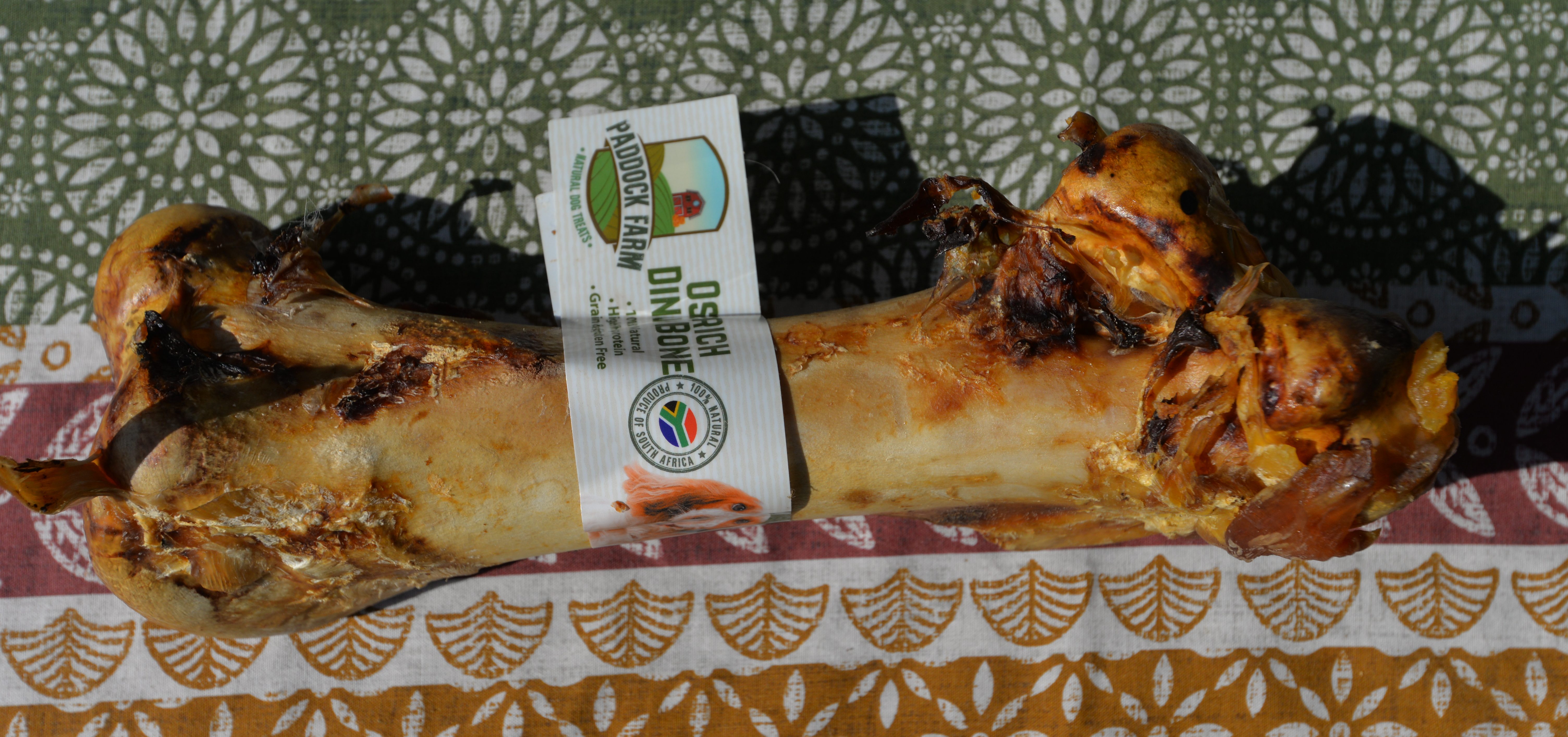 Ostrich Dino Bone