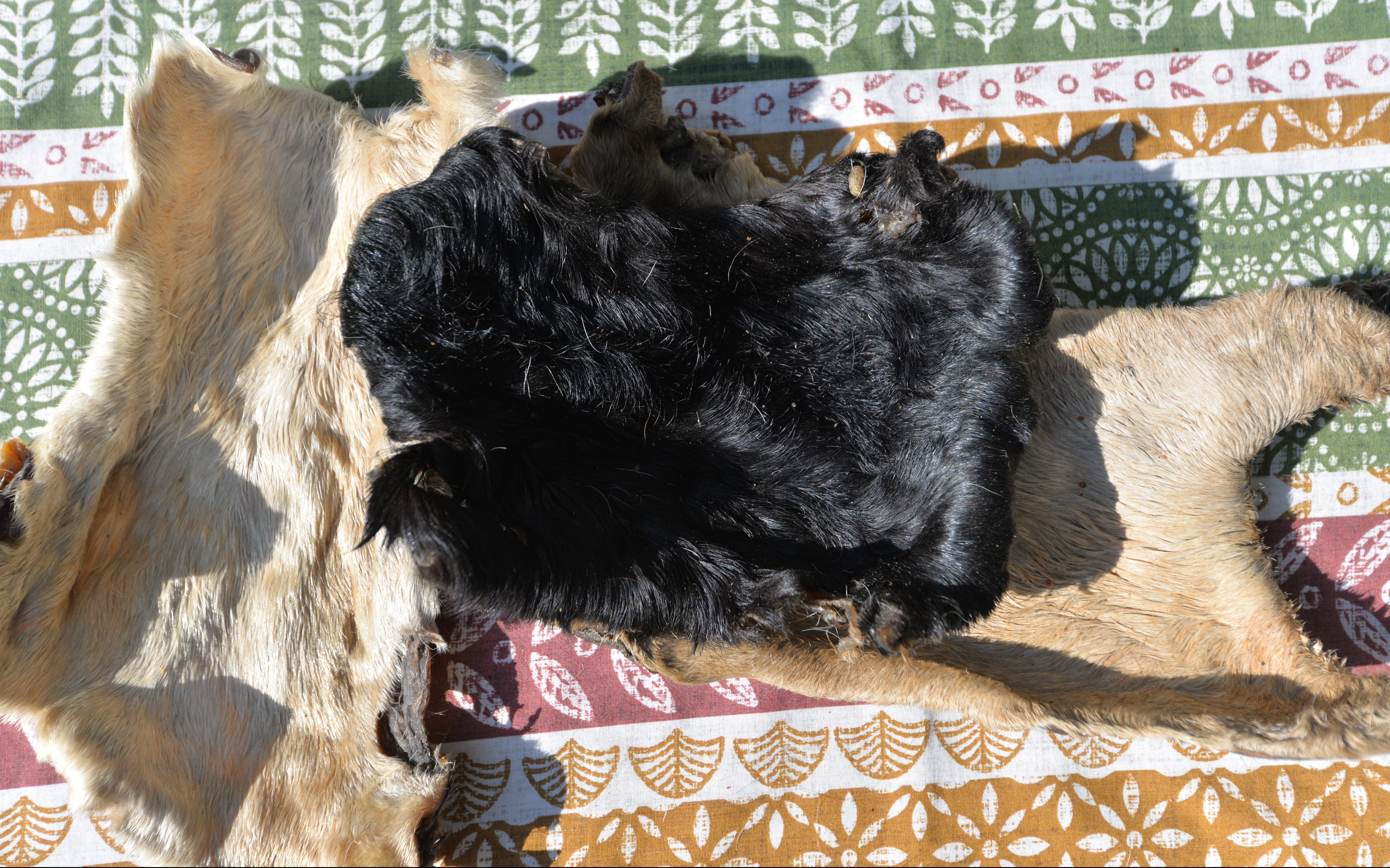 Hairy Beef Skin