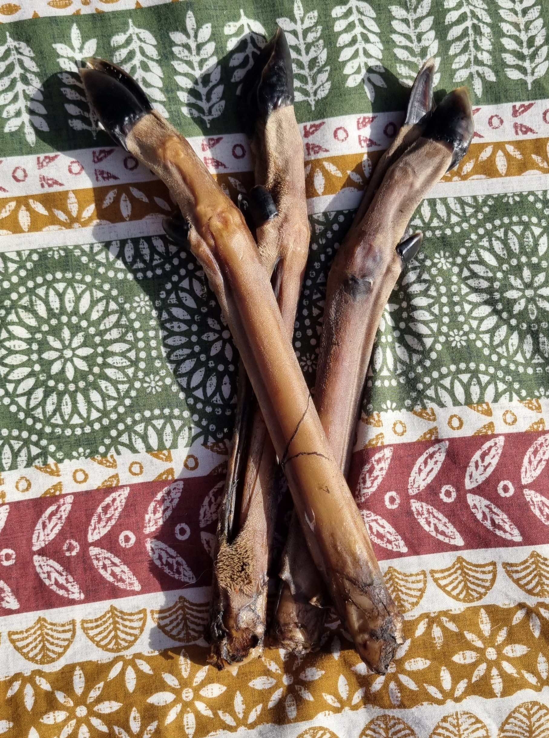 Venison Leg